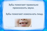 Зубы помогают правильно произносить звуки